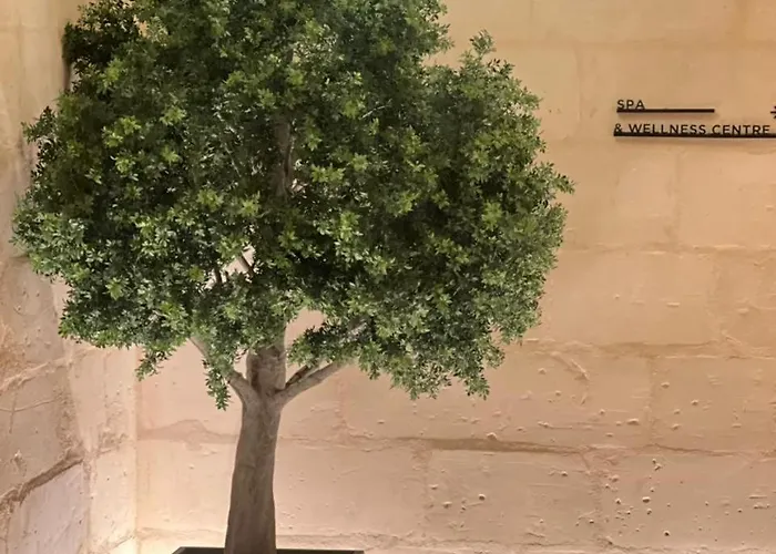 Isle Royal By Mercury Tower 公寓 Saint Julian's